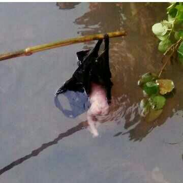 Mayat Orok Laki-Laki Ditemukan Warga Di Selokan