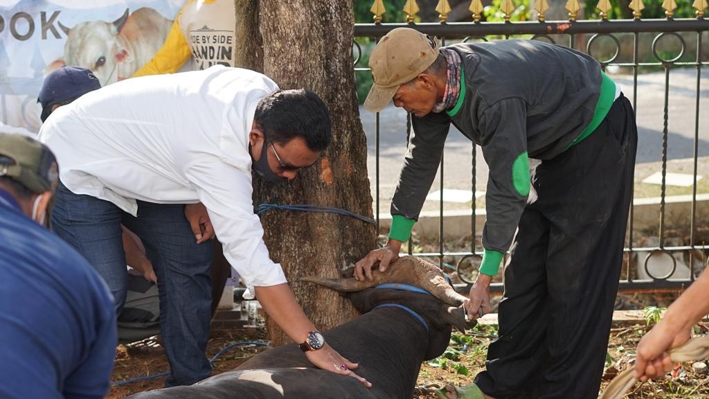 Kejari Depok Berkurban Dua Sapi dan Tiga Ekor Kambing
