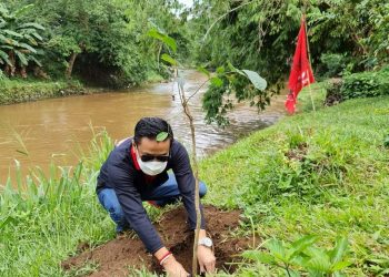 PDI Perjuangan Tanam Ribuan Pohon Di Bantaran Ciliwung Pada HUT Ke 48