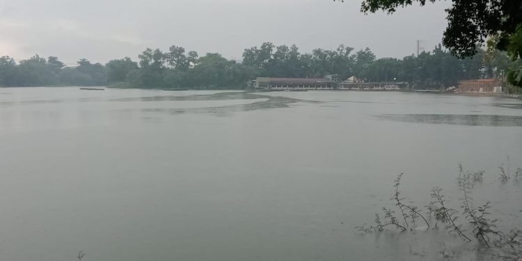 Pihak Buperta Cibubur Bantah Lakukan Pengurugan Setu Jemblung