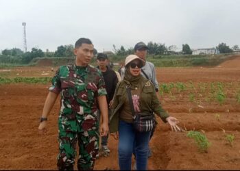 Rangka HPN 2025, Wartawan Depok Gandeng Kodim 0508