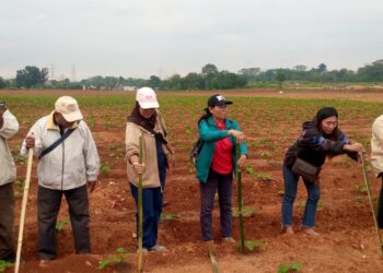 Rangkaian HPN 2025 Kota Depok sukses gelar dua Agenda 