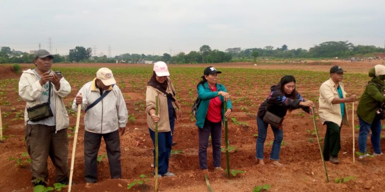 Rangkaian HPN 2025 Kota Depok sukses gelar dua Agenda