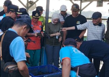 Kolaborasi Lintas Wilayah, 65 Kg Ikan Sapu-Sapu di Situ Pedongkelan Berhasil Diamankan