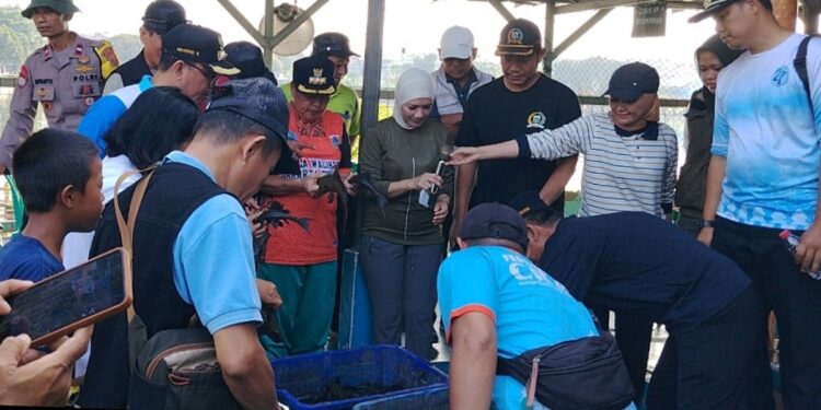 Kolaborasi Lintas Wilayah, 65 Kg Ikan Sapu-Sapu di Situ Pedongkelan Berhasil Diamankan
