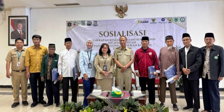 Panitia Kurban Jakarta Utara Dibekali Teknik Penyembelihan Higienis, 3.483 Hewan Dipastikan Sehat